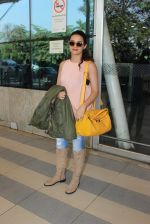 Surveen Chawla snapped at airport  on 30th Jan 2016